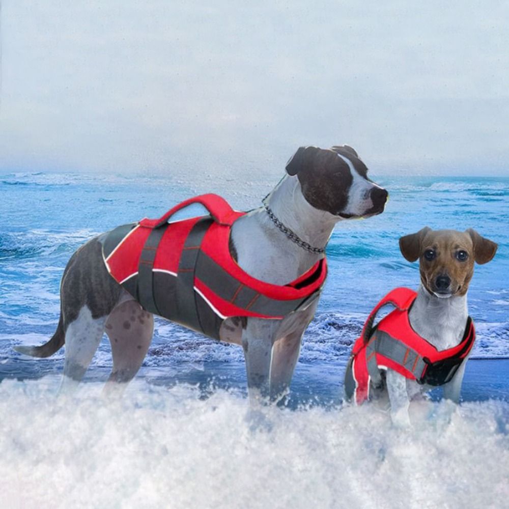 Reflective Dog Life Jacket Adj - Life Jacket Buoyancy 评论和价格