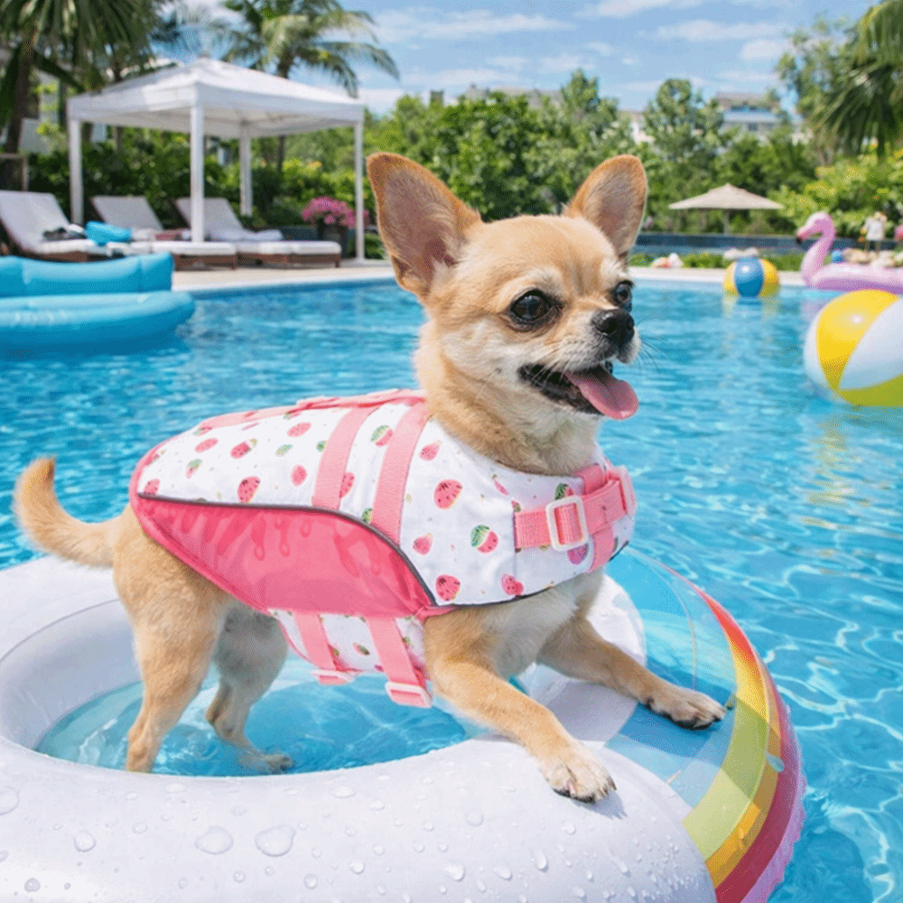 Adjustable Dog Life Jacket Hig - Life Jacket Buoyancy 评论和价格