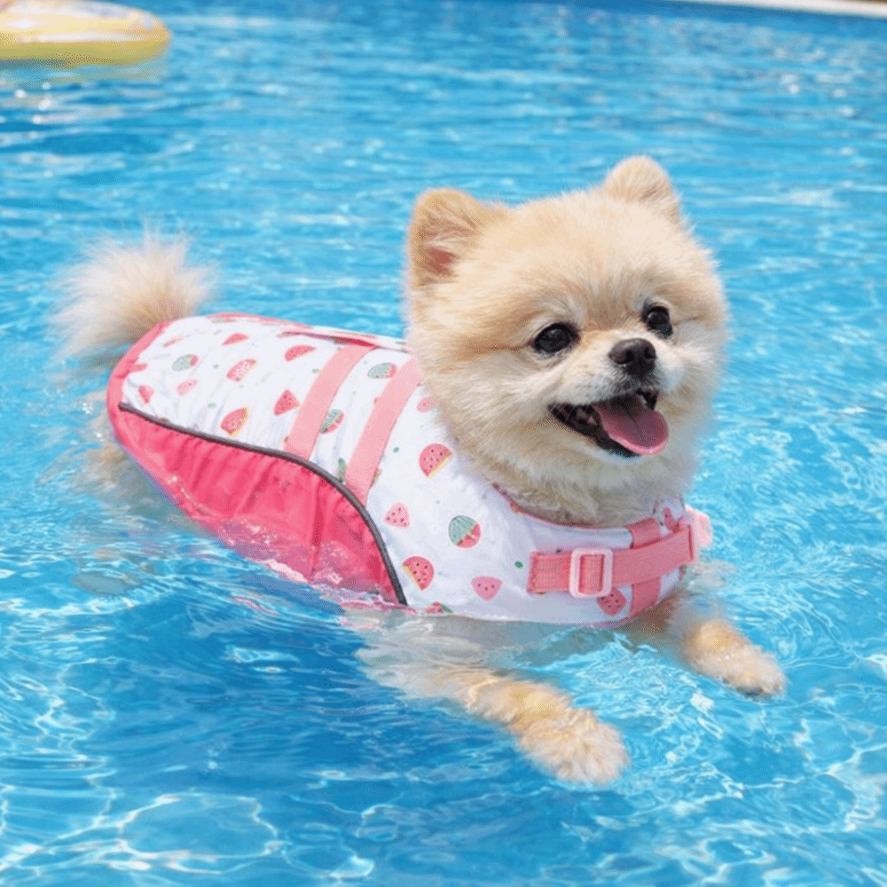 Adjustable Dog Life Jacket Hig - Life Jacket Buoyancy 评论和价格